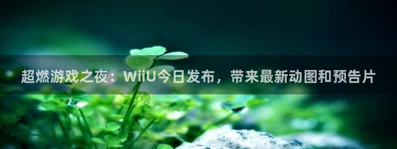 杜邦娱乐app下载：超燃游戏之夜：WiiU今日发布，带来最新