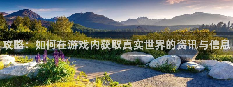 杜邦娱乐注册：攻略：如何在游戏内获取真实世界的资讯与信息