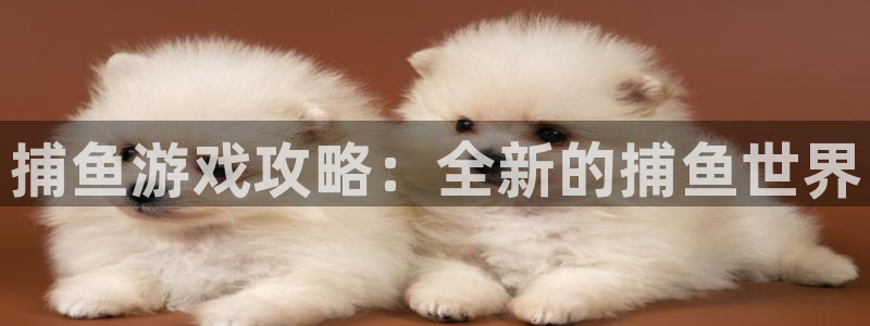 杜邦娱乐app下载：捕鱼游戏攻略：全新的捕鱼世界