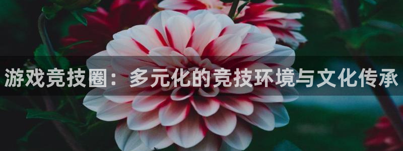 手机杜邦娱乐下载安装：游戏竞技圈：多元化的竞技环境与文化传承