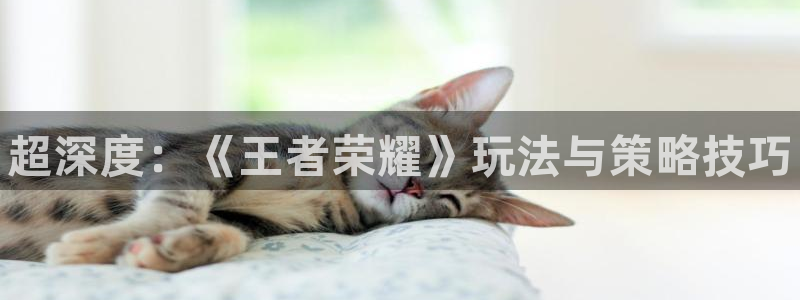 杜邦娱乐平台官网客服电话：超深度：《王者荣耀》玩法与策略技巧