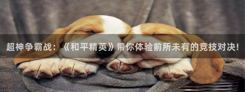 杜邦娱乐登录：超神争霸战：《和平精英》带你体验前所未有的竞技