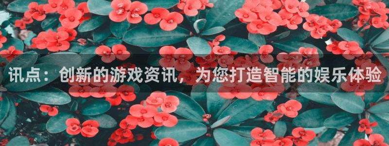 杜邦娱乐Ii
