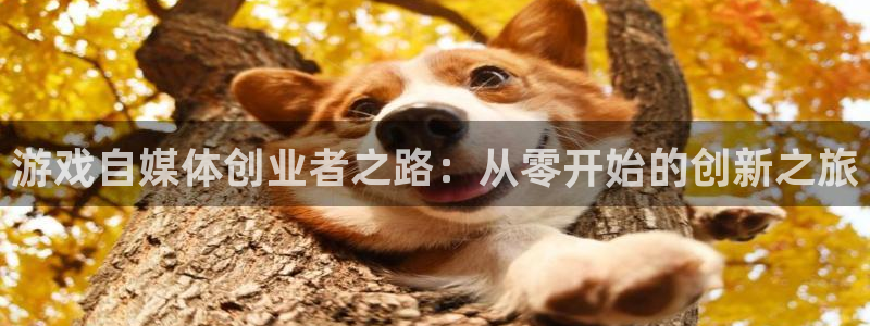 杜邦娱乐登录：游戏自媒体创业者之路：从零开始的创新之旅