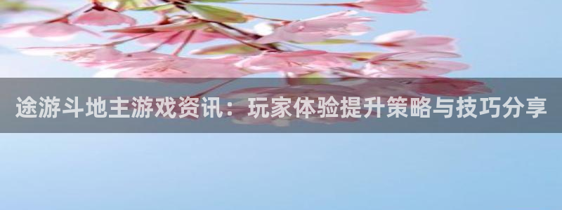 杜邦娱乐代理登陆：途游斗地主游戏资讯：玩家体验提升策略与技巧