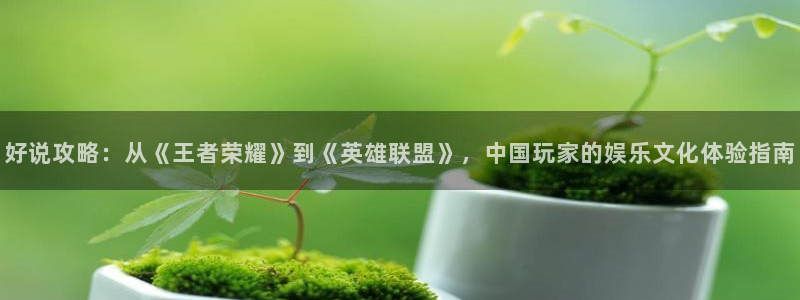 杜邦娱乐官方登录网址：好说攻略：从《王者荣耀》到《英雄联盟》