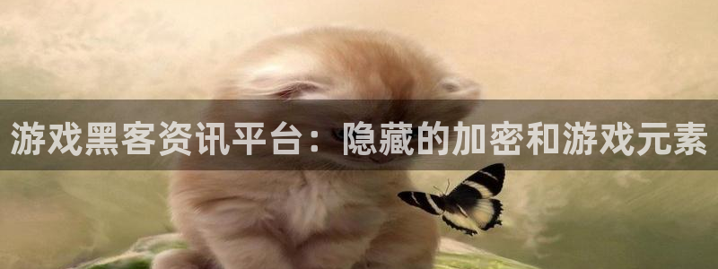 杜邦娱乐网页登录入口官网：游戏黑客资讯平台：隐藏的加密和游戏