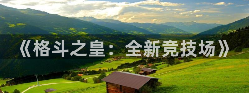 杜邦娱乐平台负责人：《格斗之皇：全新竞技场》