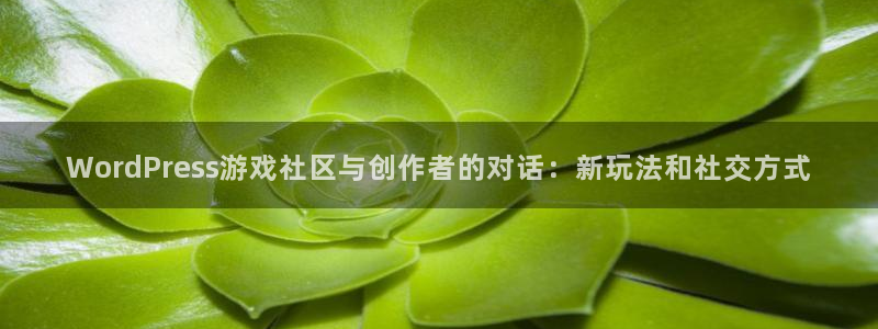 杜邦娱乐信誉怎么样啊