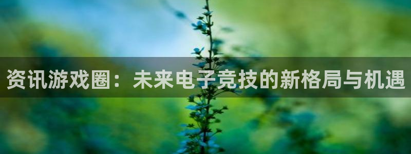 杜邦娱乐官网入口登录下载：资讯游戏圈：未来电子竞技的新格局与