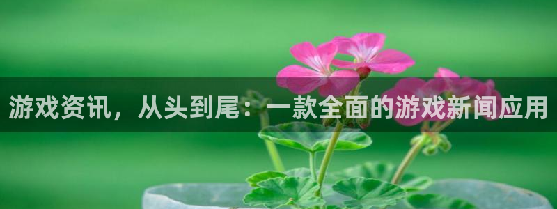 杜邦娱乐app最新版本更新内容详情：游戏资讯，从头到尾：一款