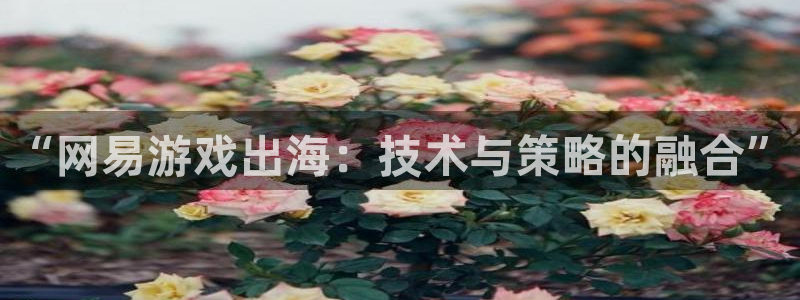 杜邦娱乐嘉675.138最新版本更新内容介绍：“网易游戏出海